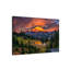 1 Piece Wrapped Canvas Wall Art