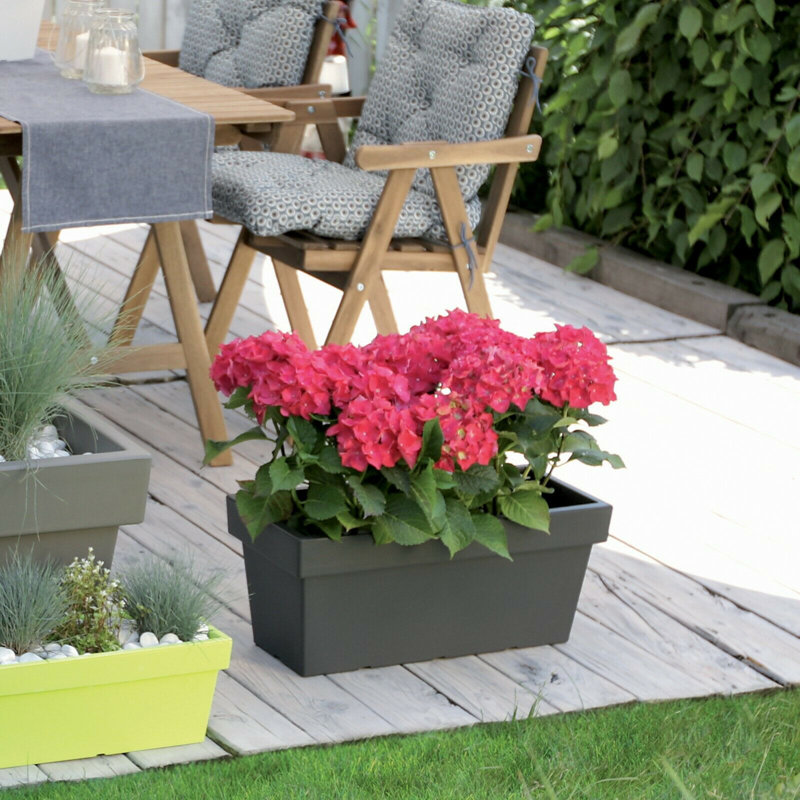 Calabro Pot Planter, 16.4cm H x 37.8cm W x 17.7cm D