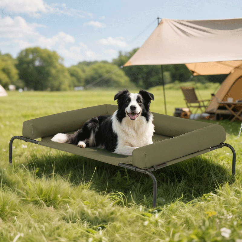 Elevated Dog Bed with Removable Cooling Cushion, Grand (l 48 po x P 35 po x H 9 po), Vert