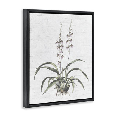 Blooming Herb Bud Grey Framed Floater Canvas Wall Art by Lettered and Lined