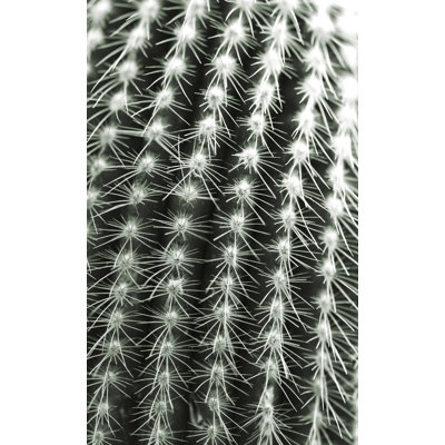 Silver Spikes Grand 1 Photographic Print