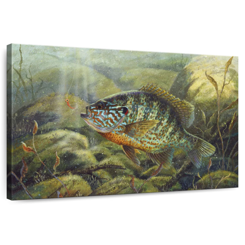 Brampt Pumpkin Seed, 8" H x 12" W