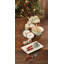 Lenox Holiday 8" Salad Plate