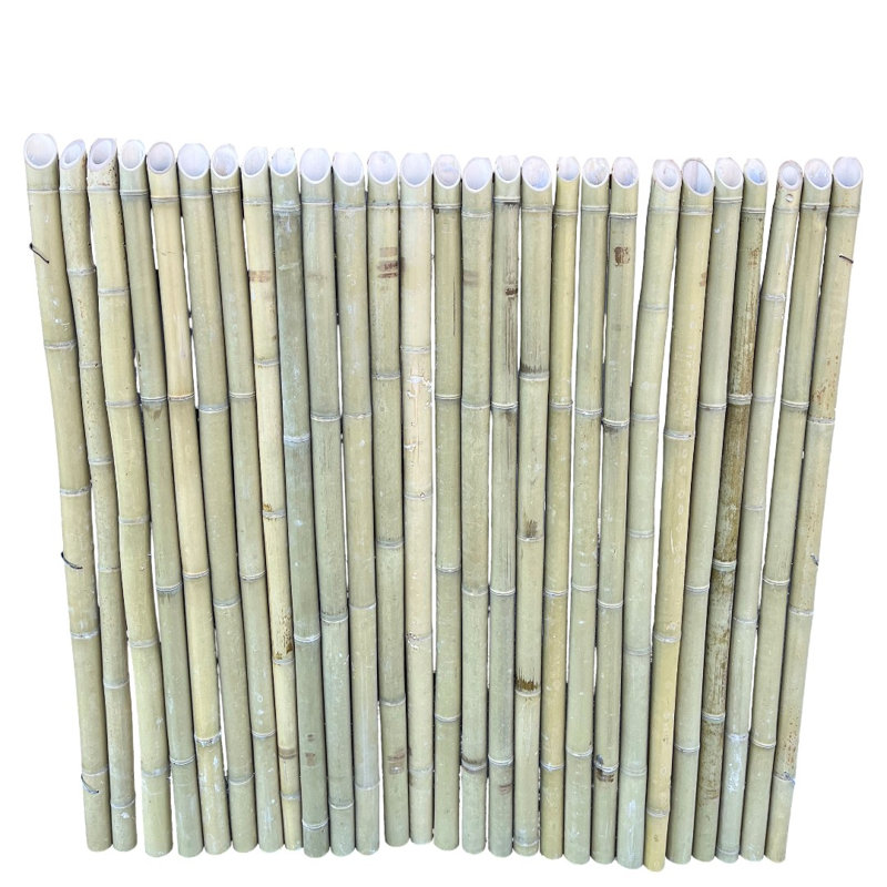 Clôture en bambou Spear Top, H 4 pi x l 4 pi, Vert clair