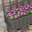 Elevated Planter-2057299149