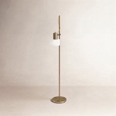 Timi 56'' Floor Lamp