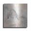 «Gray Horse I» par Chris Paschke-1342291488