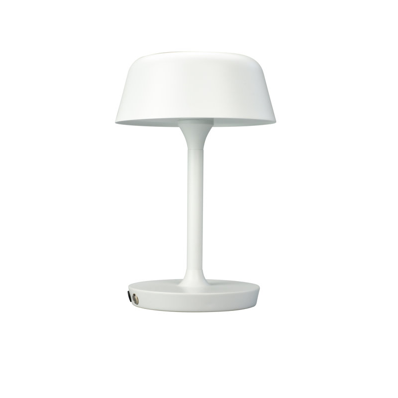 Metal Novelty Lamp