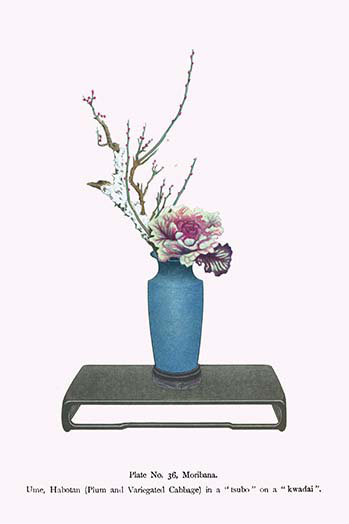 " Une And Habotan (Plum And Variegated Cabbage) In A Tsubo " by Josiah Conder