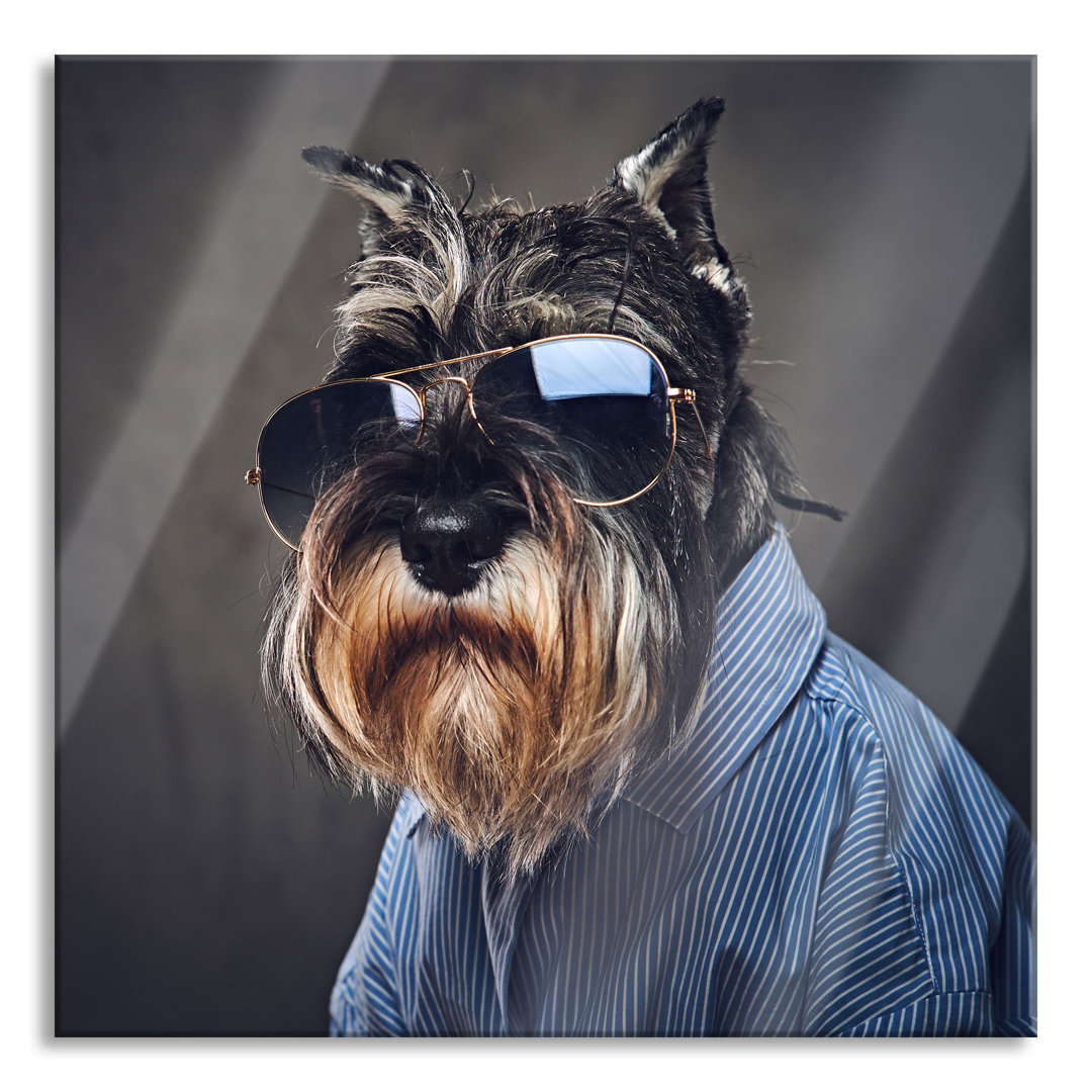 Ungerahmter Grafikdruck auf Glas "Funny Dog with Shirt and Sunglasses"