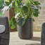 Ensemble de 2 pots de fleurs d'extérieur en bronze mat Uttermost