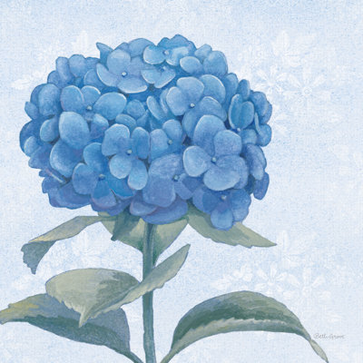 Bleu hortensia III clair