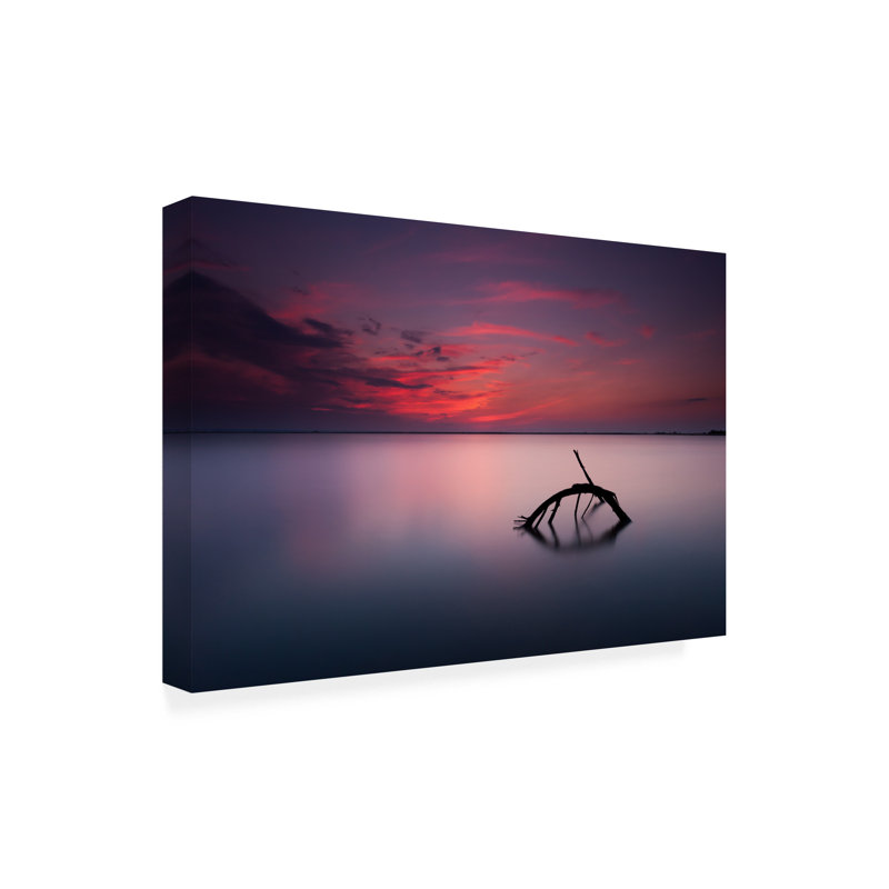 Rouleau de peinture sur toile, Olech Michaa, H 22 po x l 32 po
