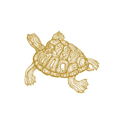 Décalcomanie murale tortue de mer Kylie