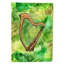 Harpee en polyester 2 côtés 40 x 28 po irish drapeau maison