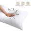Oreiller en polyester - Sleep by Wayfair ™-1390211849-1343429377