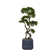 51.57'' Faux Bonsai Plant in Planter
