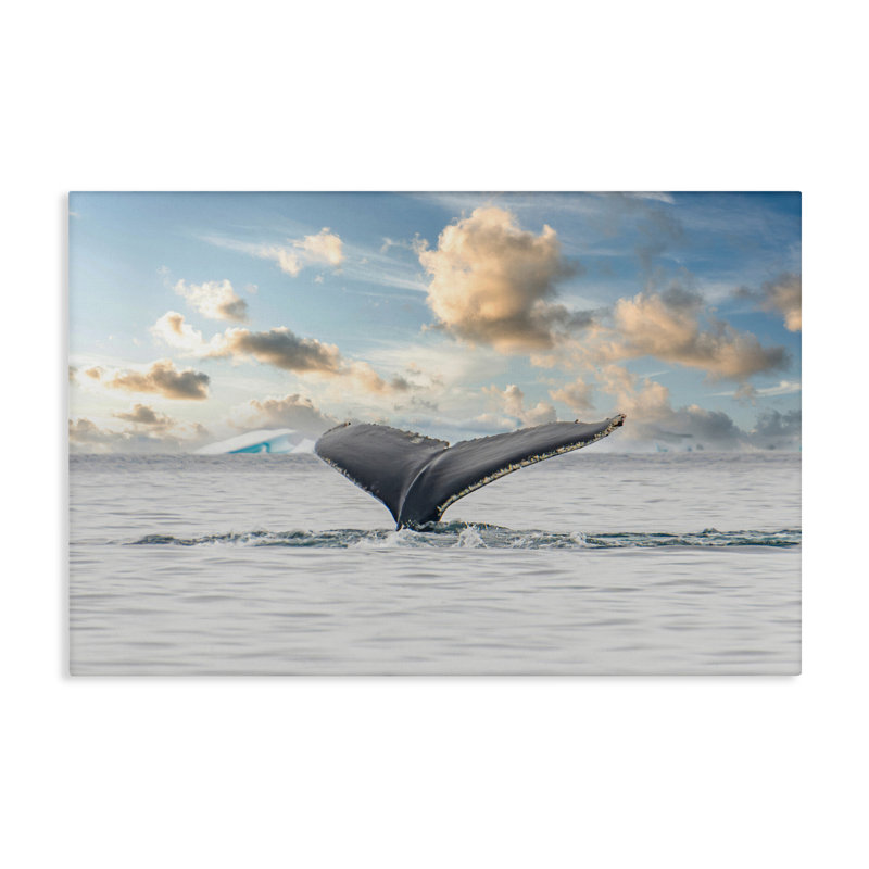 Toile antarctique avec queue de baleine, conception de Richard Silver, H 16 po x l 24 po