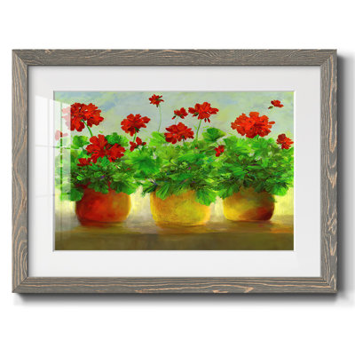 Geraniums III, reproduction d'art encadrée