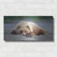 «Bear Life X» par PH Burchett-1233785681