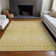  Bhavya Area Rug