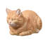 Chat tigré orange au repos-126248606