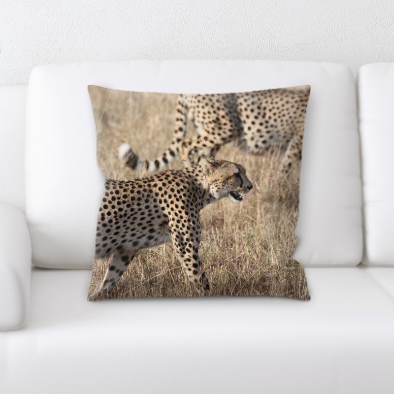 Coussin en afrique
