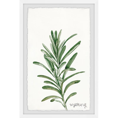 Sage and Rosemary 1 Piece Single Picture Frame Painting