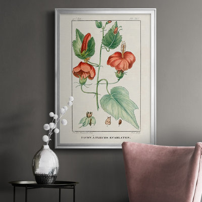 " Turpin Tropical Botanicals IV "