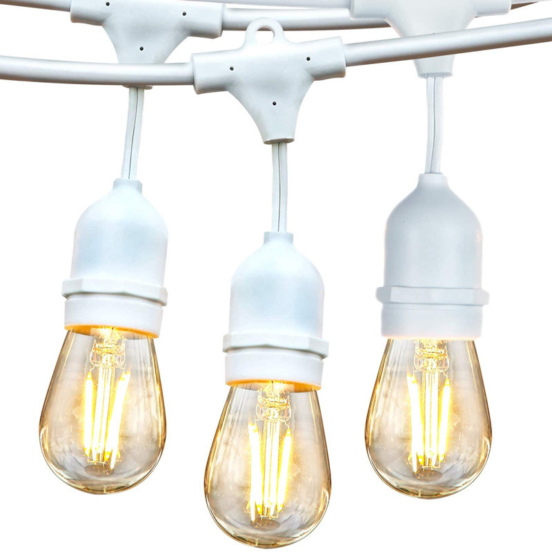 Ambience Pro Indoor/Outdoor Hanging Incandescent 11-Watt S14 Bulb String Lights, White, 48 ft