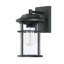 Schlesinger Seeded Glass Outdoor Wall Light-906983241