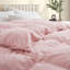 Insertion de couette toutes saisons en plumes d'oie-1777623612