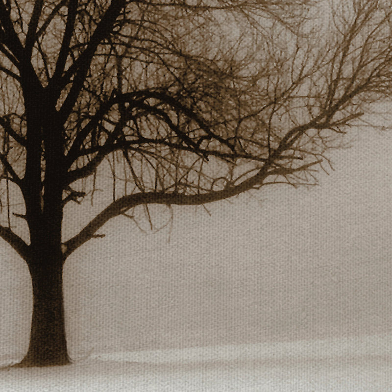 « winter soleil sépia », reproduction d’impression sur toile tendue, H 30 po x l 40 po x P 1,5 po