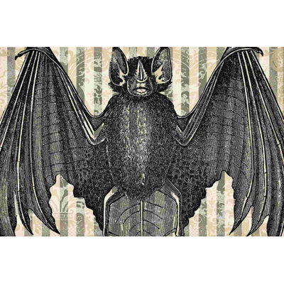 " Creepy Bat "
