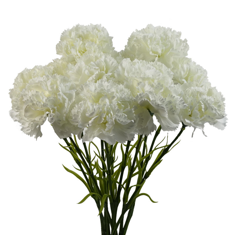 Antiqua Arrangement