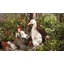 Dakota Fields 3L Weather Resistant Plastic Fountain