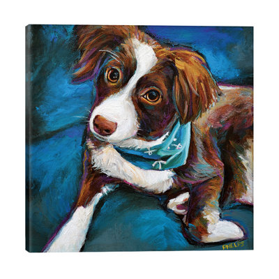 Australian Shepherd Puppy - Wrapped Canvas Painting