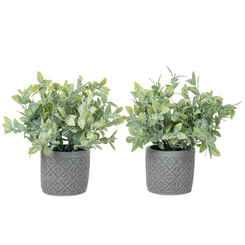 2 - Piece Artificial Plant Set