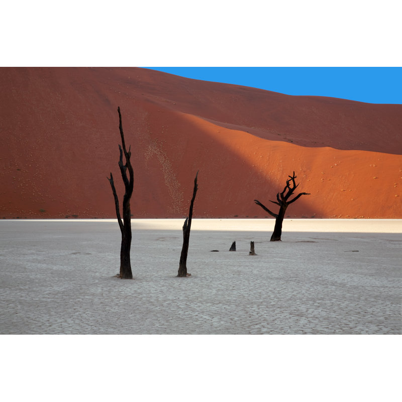 Morning Sun - Wrapped Canvas Print, 30cm H x 46cm W x 3.8cm D