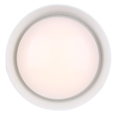 LED Flush Mount