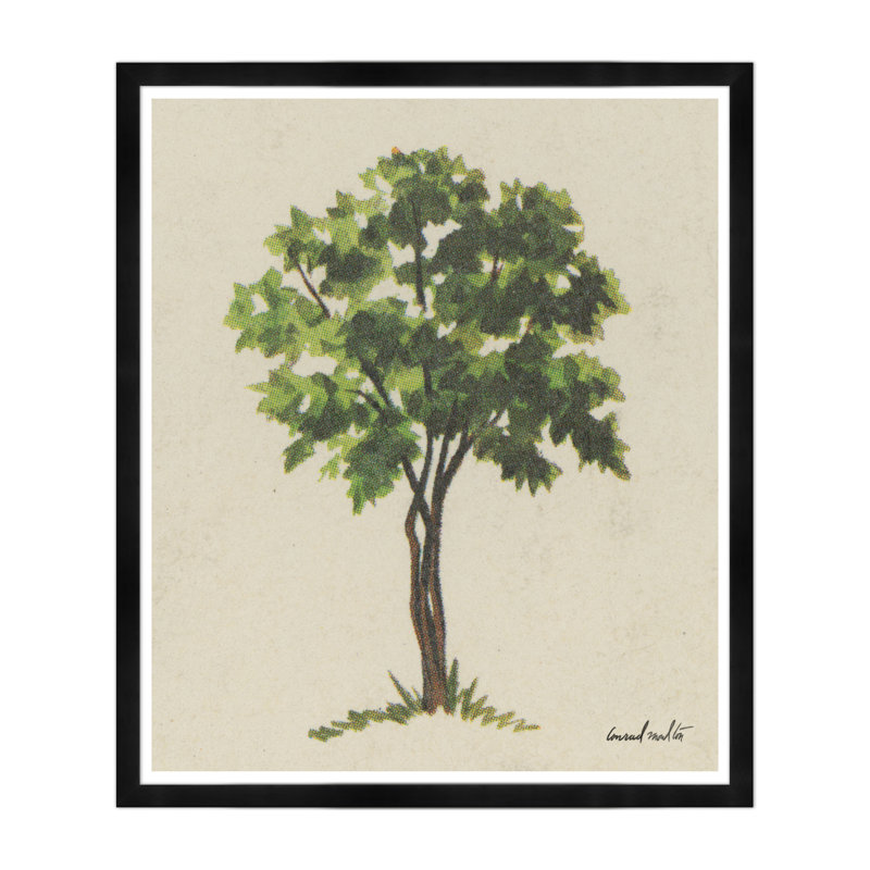 Four Branches Print, Black Framed