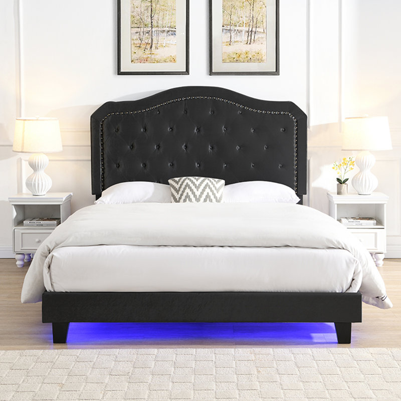 Lit rembourré avec capitonnage à boutons et conception incurvée, support de lattes en bois robuste, assemblage facile, matériau en velours et lumières DEL pour un sommeil confortable