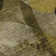 Nolah Area Rug with Non-Slip Backing