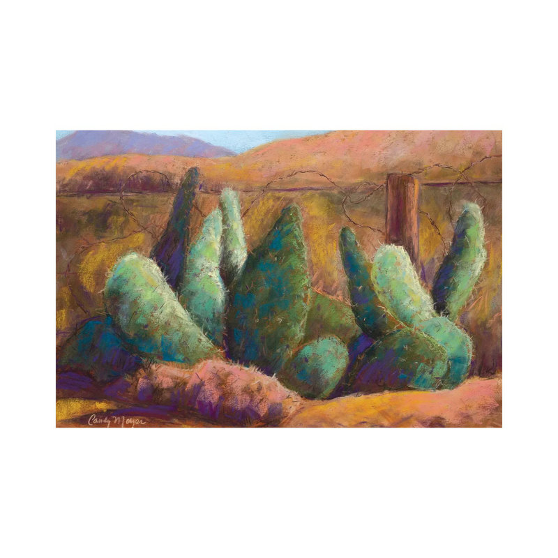 Border Cactus by Candy Mayer - Wrapped Canvas Gallery-Wrapped Canvas Giclée, 20.32 cm H x 30.48 cm W