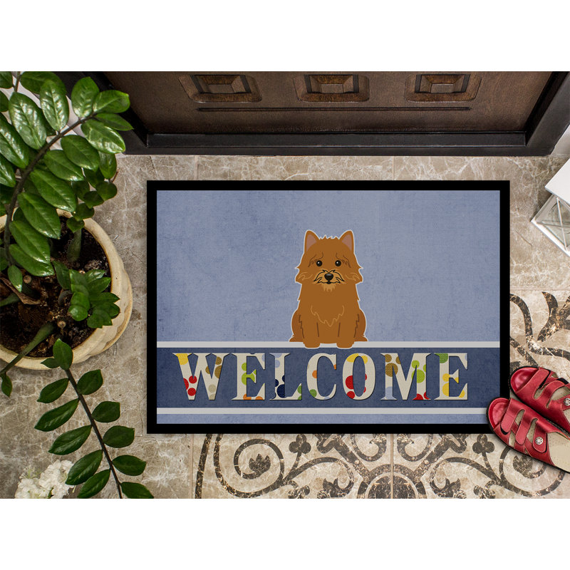 Norwich Non-Slip Outdoor Doormat