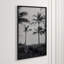 Silver Palms 1' Framed Photographic Print