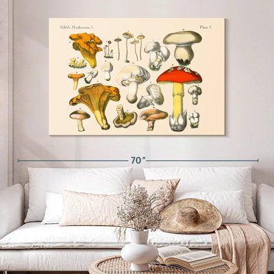 Champignons rétro Yarlin