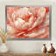Pivoine rose rougissante - pivoines, art mural-1013951160-1013951167