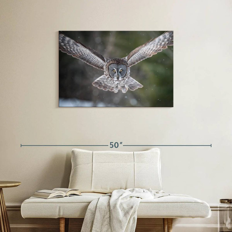 Brampt Flying Winter Owl, 24" H x 36" W