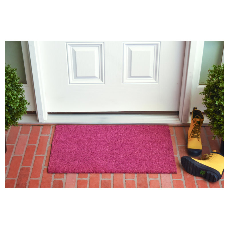 Tapis d'extérieur antidérapant Kasper, L 17 po x L 29 po, Magenta